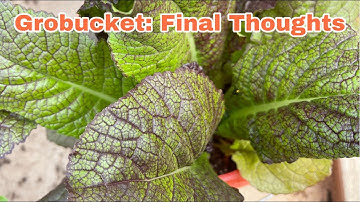 Grobucket: Final Thoughts