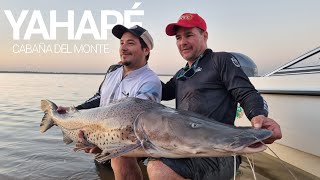 Cómo es pescar en Cabaña del Monte Yahapé Corrientes