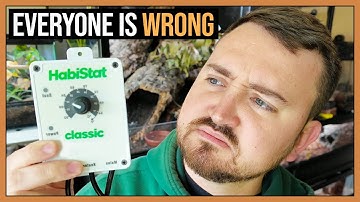 Why I Dont Use Reptile Thermostats Like Others