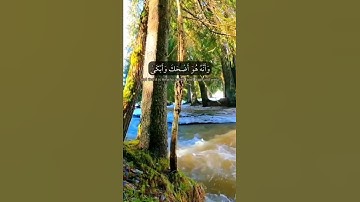 الشيخ سعود الشريم || آيات من سورة النجم