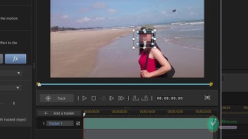 Blur or mask an object in the video with CyberLink PowerDirector 16