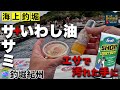 【海上釣堀】いわし油＋ササミ・ムキエビが低水温の渋い時期に効く!そして手がよごれたらコレ