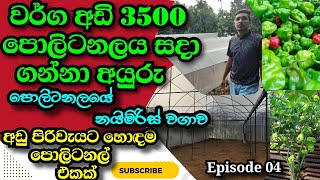 පොලිටනලයේ ඉදිකිරිමි තතු | Green house | Polytunnel | EP04 | Naimiris wagawa | Agri School