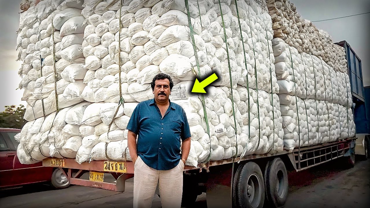 Самые безумные поступки Пабло Эскобара, вы не поверите пока не увидете…