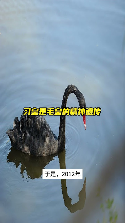 习皇是毛皇的精神遗传 #毛泽东 #文革 #习近平 #厕所工程 #十里山路不换肩