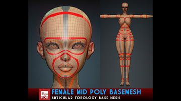 Female Mid Poly Base Mesh