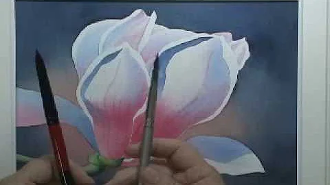 Shelley Prior Fine Art