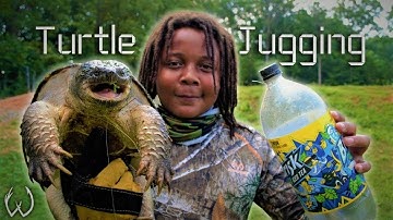 Jugging for Massive Snapping Turtles in Backyard Pond! | Learning the Wild Life
