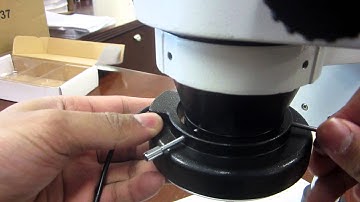 AmScope - Attaching Your Ring Light to Your Stereo Microscope