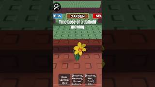 Timelapse Of A Daffodil Growing