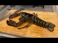 クレーンゲームで取ったロブスターを食べてみた