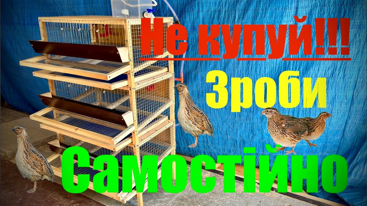 !!!Клітка для перепілок з ШАБЛОНАМИ і  РОЗМІРАМИ!!! #quail   #quailcage