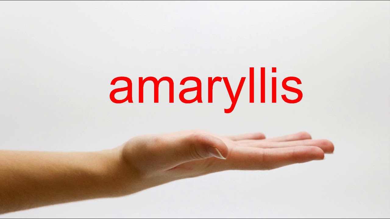 How to Pronounce amaryllis - American English - YouTube