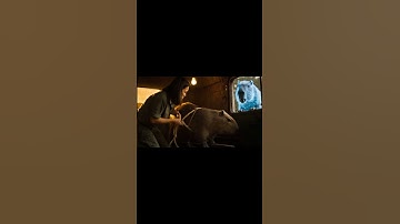 capybara | LIKE SNACKS@ | ẩm thực trên cây chuối