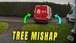 Delivery Driver Damages Mini Tree on Lawn by ViralSnare Rights Management 2,293 views 1 day ago 35 seconds