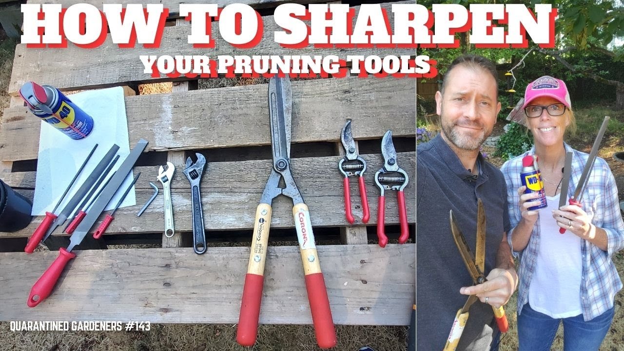 How to Sharpen Your Pruning Tools QG Day 143 YouTube