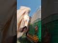 Never give up #shorts #shortvideo #short