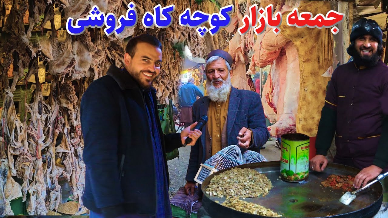 گزارش ضیا صالحی از کوچه کاه فروشی/zia report of kah froshi kabul