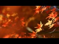 恋一葉 小田純平作品 寺本圭佑 cover KHASHI515