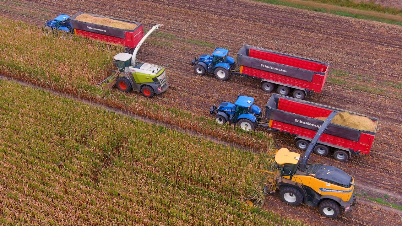 Mais 2022 : XXL Harvest / Claas Jaguar 970 & NH FR920 / LU Piening / 24 rows / BIG Transport / Ernte
