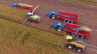 Mais 2022 : XXL Harvest / Claas Jaguar 970 & NH FR920 / LU Piening / 24 rows / BIG Transport / Ernte