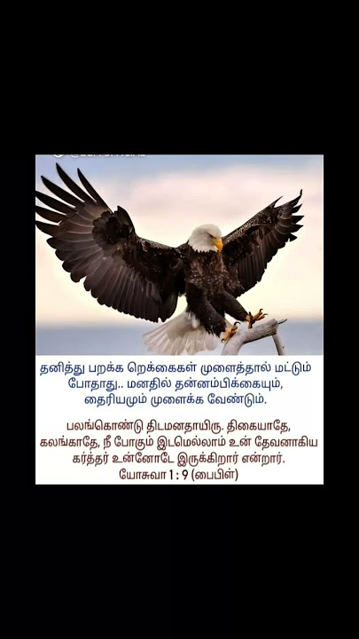 Nee pogum idemellam......#christianmusic #sorts #shorts #christiansong #shorts#song