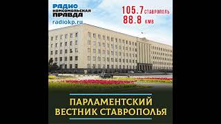 Краевая дума приняла изменения в бюджет Ставрополья на 2025 год