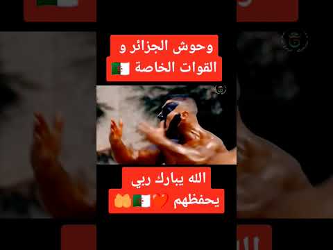 القوات الخاصة الجزائرية