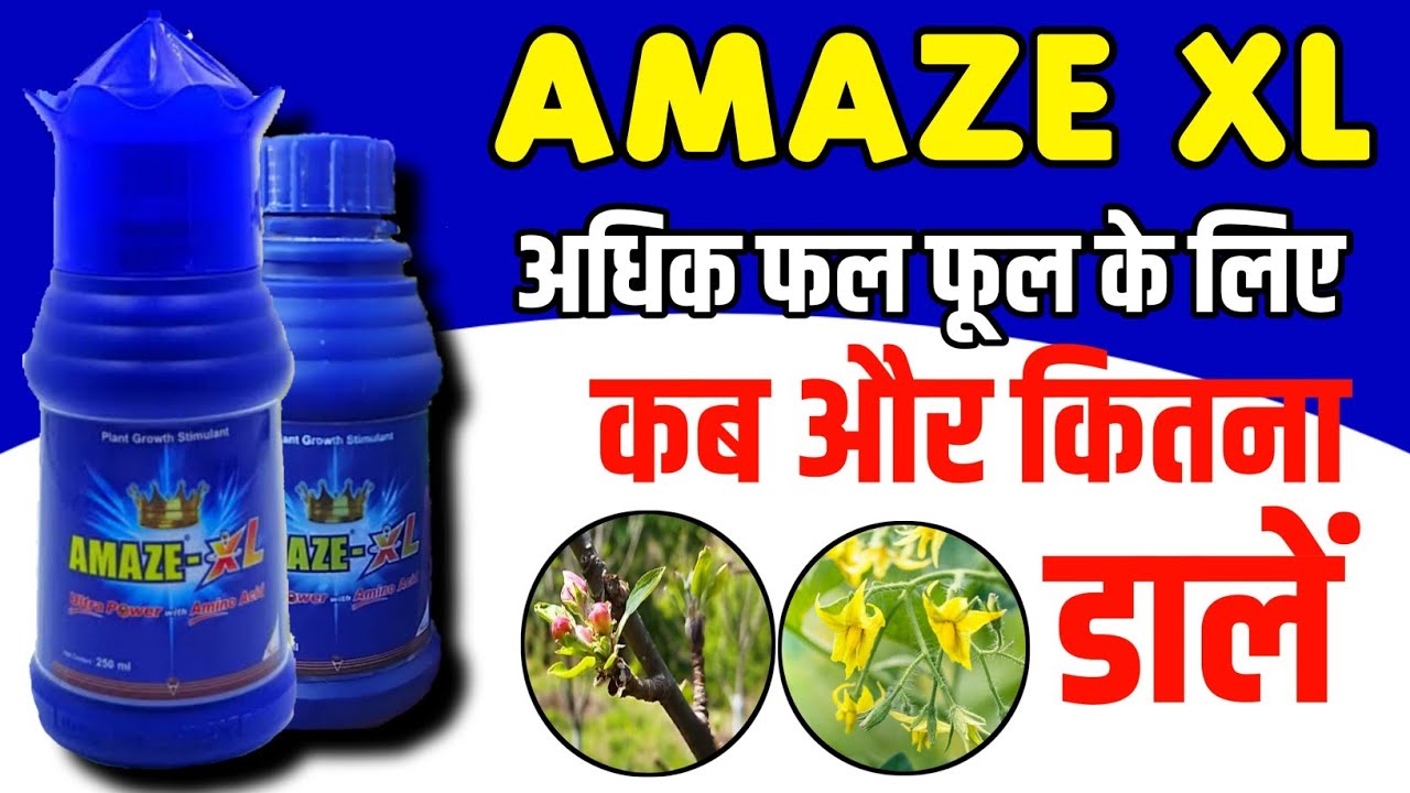 Amaze XL Amaze XL Plant Growth Stimulant Amaze XL amaze-xl-amaze-xl-plant-growth-stimulant-amaze-xl