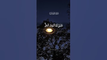 أفحسبتم أنما خلقناكم عبثا وأنكم إلينا لا ترجعون #قرآن #القارئ_احمد