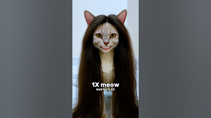 Wait For The Last One Meow #katebrush #shorts #viral
