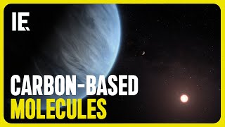 Building Blocks of Life Found on Habitable Zone Planet by Interesting Engineering 1,548 views 5 days ago 2 minutes, 12 seconds