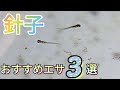 「針子の生存率up」おすすめエサ3選‼️