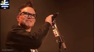BLINK 182 | live Reading Festival 2024