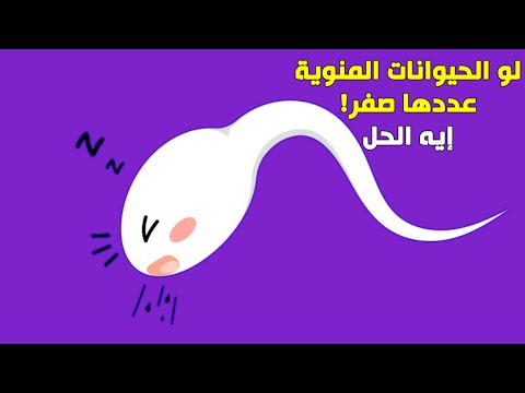 فيديو: هل حصل أنبوب ساوث كنسينغتون على مصعد؟