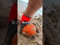 海辺に何か落ちてたんだけど...
