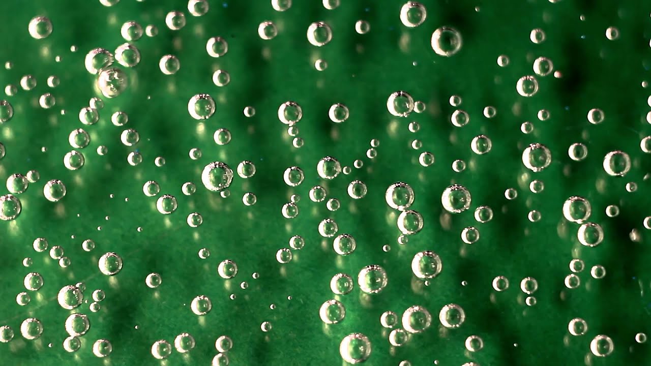water bubbles green background free hd stock footage bubble green