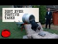 Best Ever Festive Tasks | Taskmaster