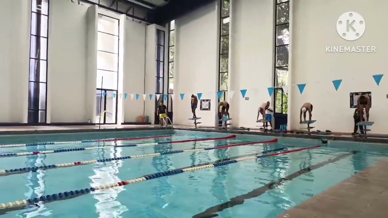 La importancia del estilo crol