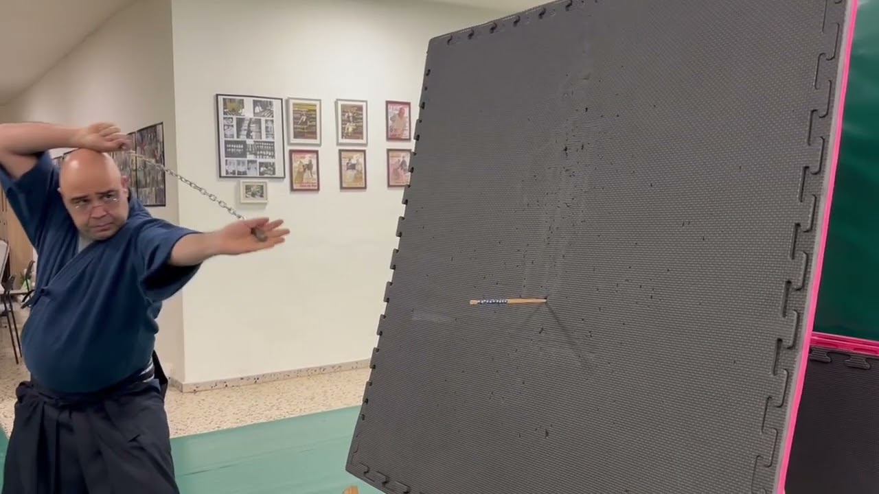 Ogawa Ryu - The importance of precision - Shidoshi Jordan Augusto - Excellent!