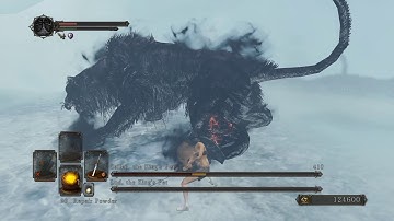 (HD) Lud and Zallen SL1 NG+7 CoC no roll/block/parry