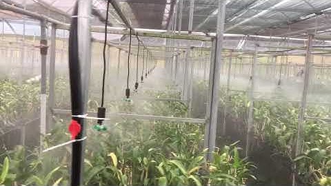 Béc phun sương 4 hướng , béc tưới lan,  béc 4 hướng loại tốt 0935188818