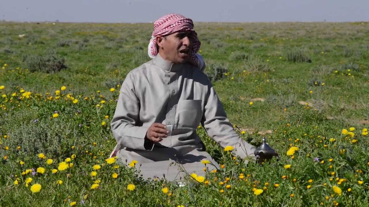 ربيع الشمال ١٤٣٥ تصوير سليمان المطرودي ابوهلال