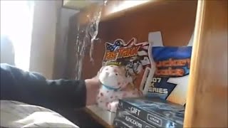 Valerie Attacks Rameses II
