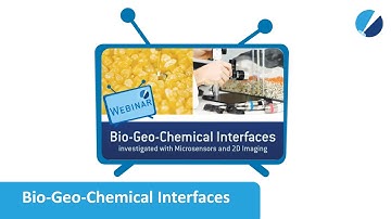 VisiSens WEBINAR - Bio-Geo-Chemical-Interfaces Investigated with Microsensors and 2D Imaging