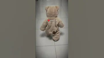 البساطه البساطه ياعيني علي البساطه 