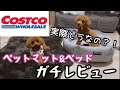 【コストコ】ペットマット&ベッドのガチレビュー（トイプードル）