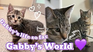 Baby Gabby’s 10 months of life so far 🥰 | WisteriasWorld