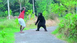 Gorilla Attack Prank || Scary Gorilla Prank on Public - Part 19 || 4 Minute Fun