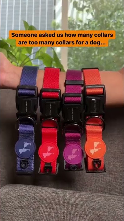 HUFT Classic Nylon Dog Collars